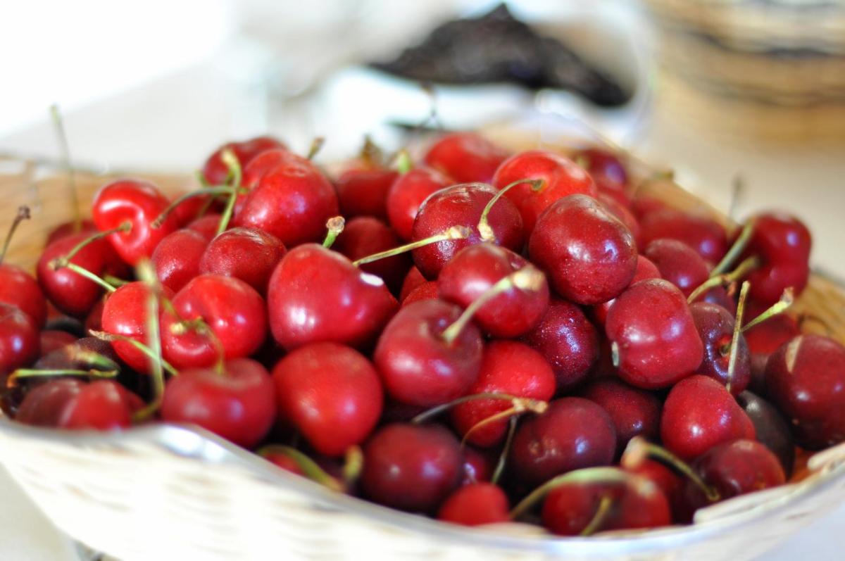 Comida en o cerca de este hotel