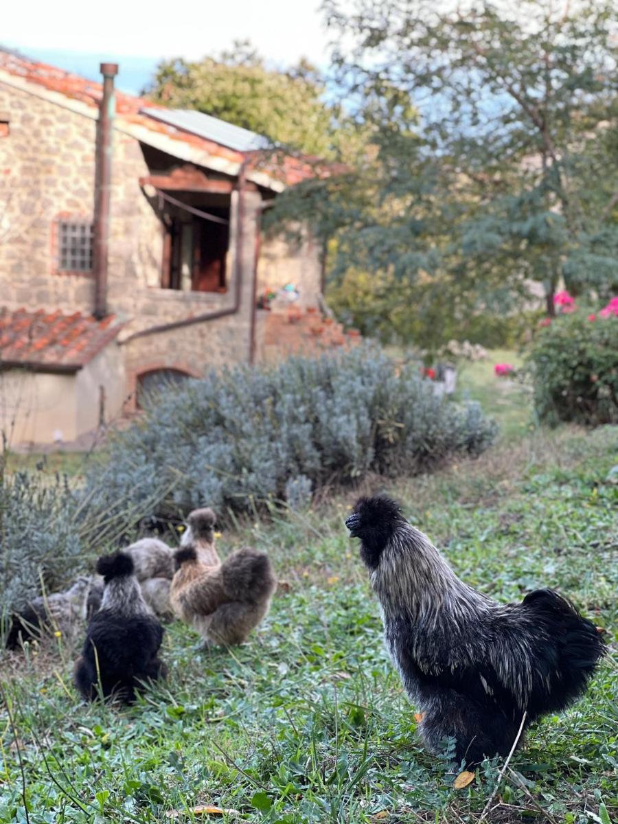 B&B Podere Legnotorto - Housity