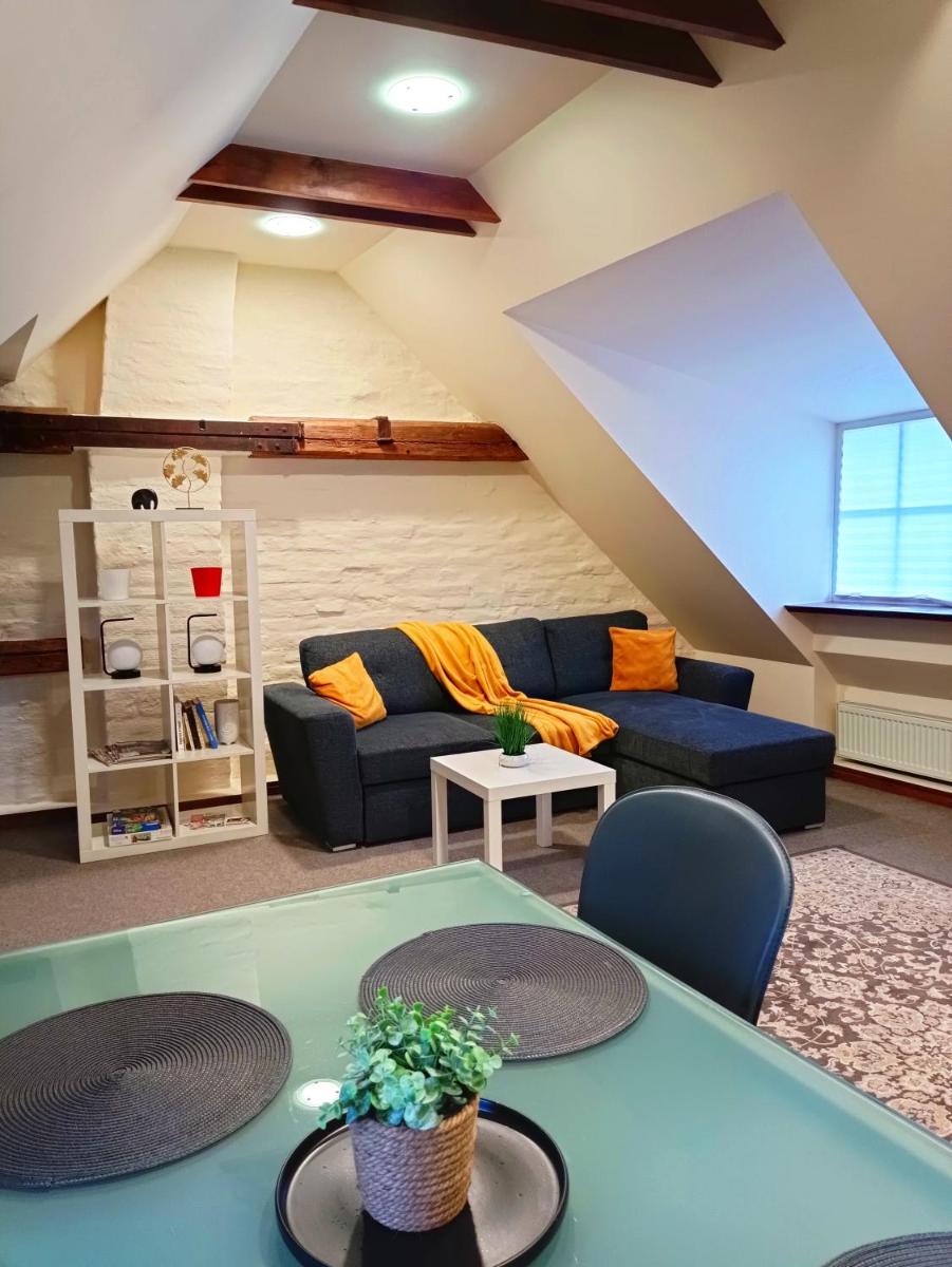 Old Town Charm One bedroom Spacious Loft Apartment nearby the Livu square - Housity