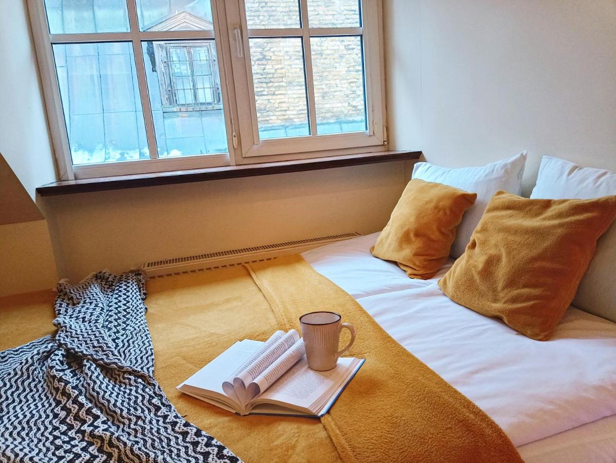 Old Town Charm One bedroom Spacious Loft Apartment nearby the Livu square - Housity