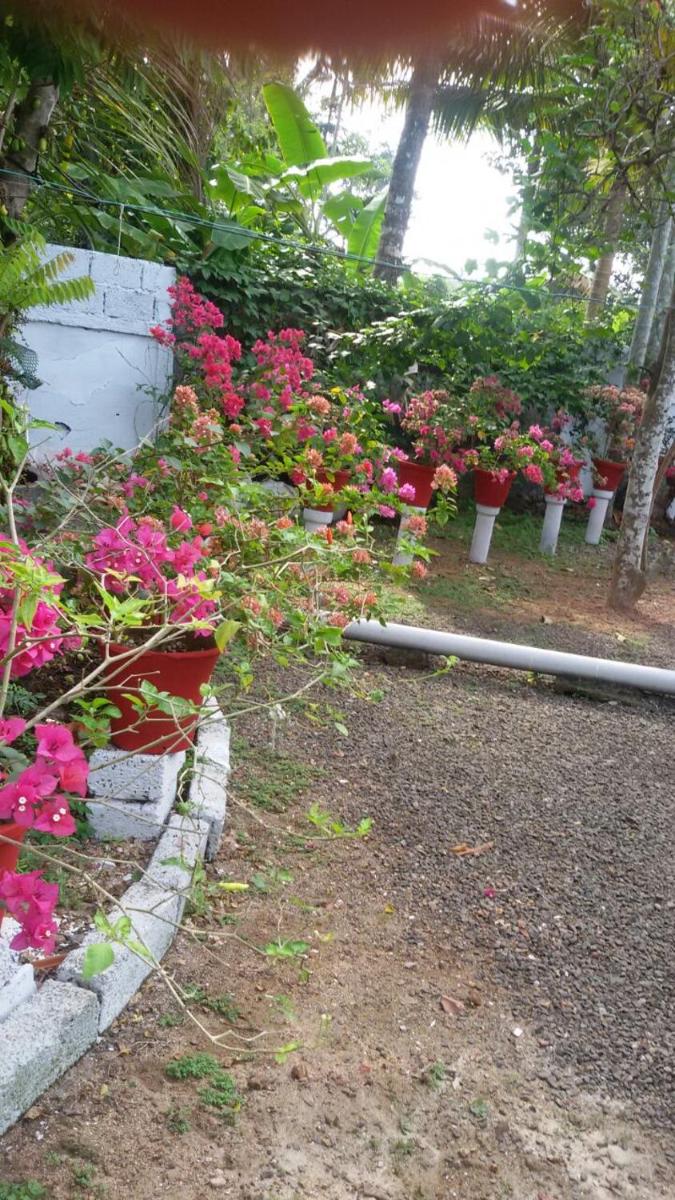 Suitetrails - DREAM HOMESTAY