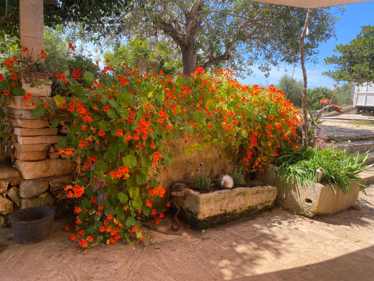 Suitetrails - Apartment Doppelzimmer 2 Personen - Entspannung PUR in Finca Mallorca
