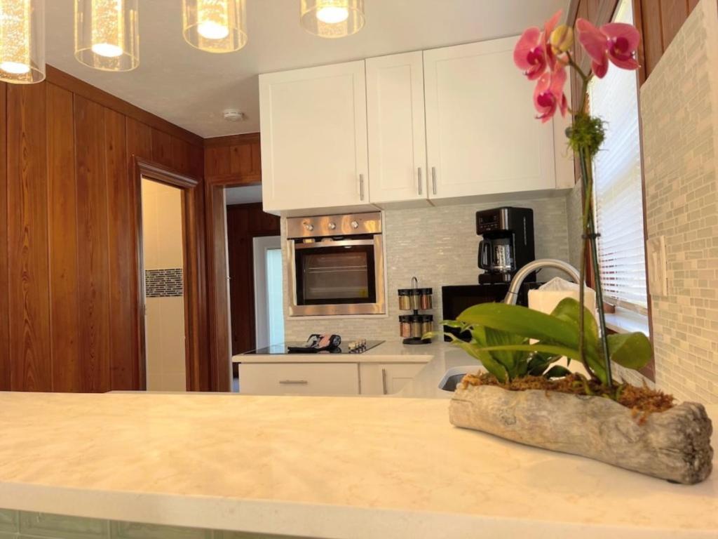 Nature View #3 - Housity