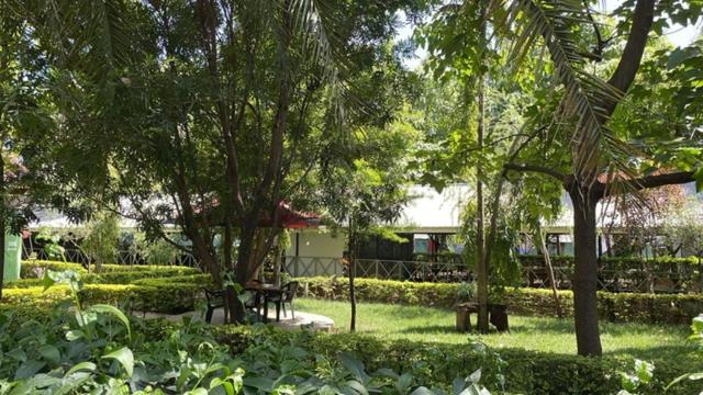 Suitetrails - Jungle Green Resort, Kiutine