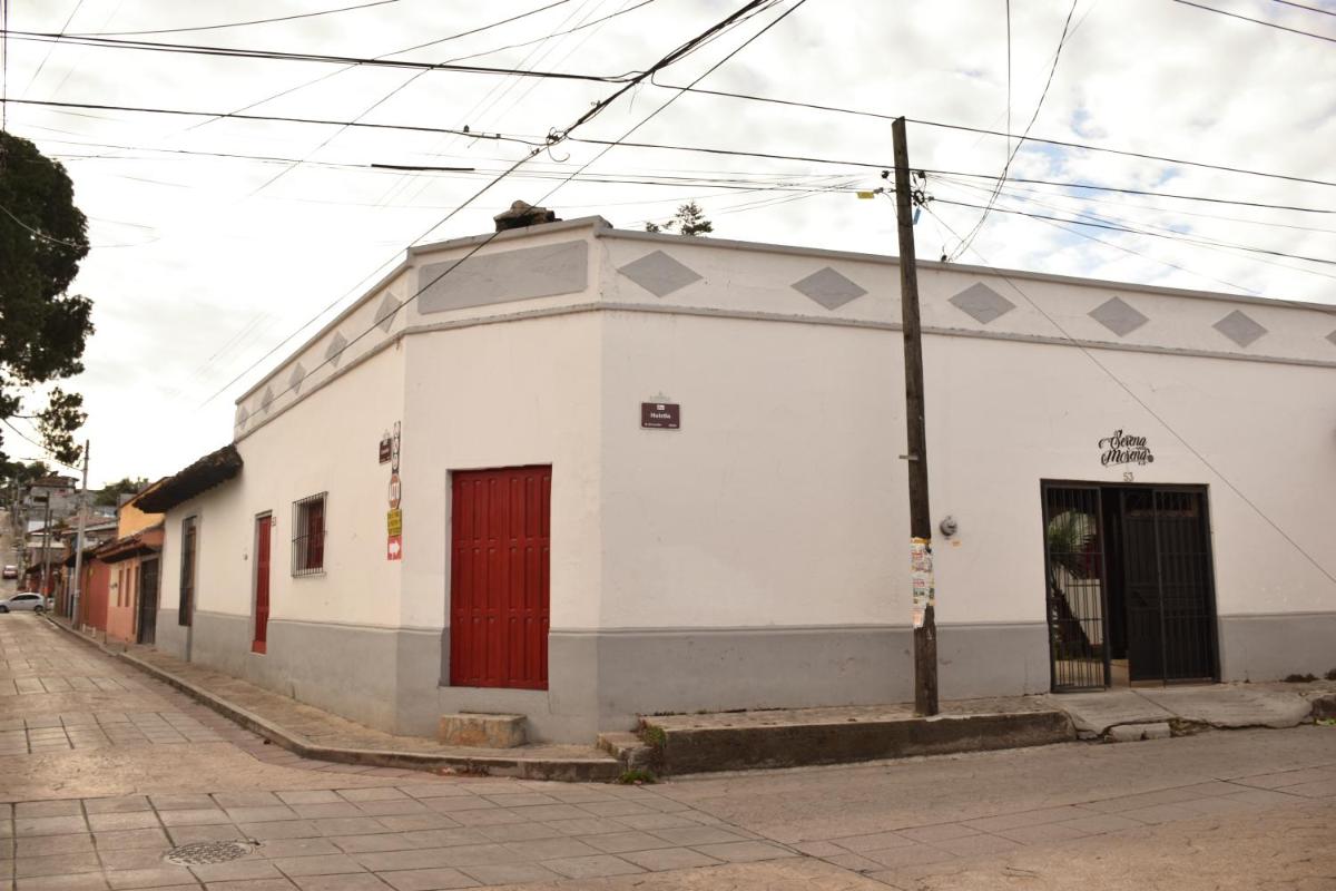 SERENA MORENA - Housity