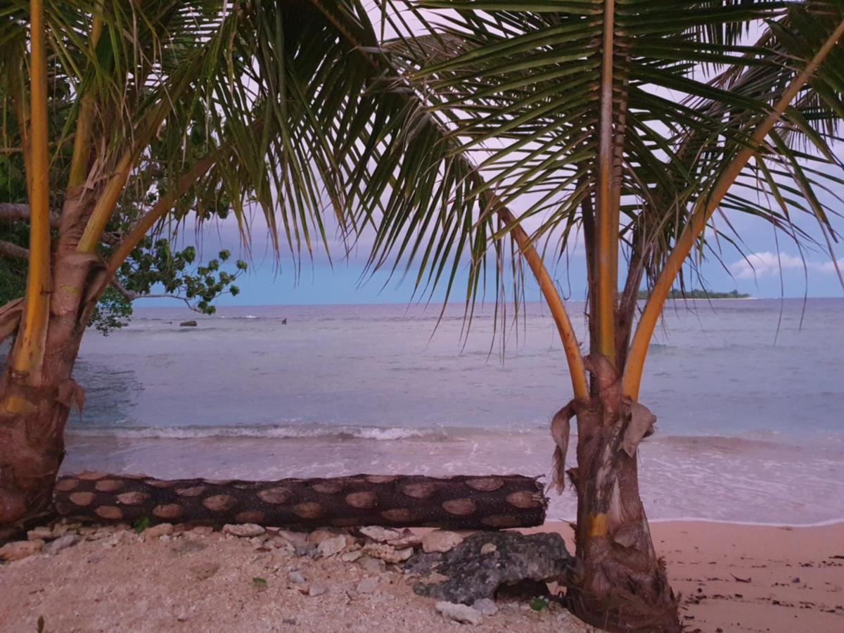 Eco Dive Vanuatu Bungalows & Backpackers - Housity