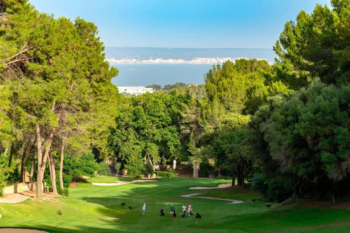 Paisaje cerca de este hotel