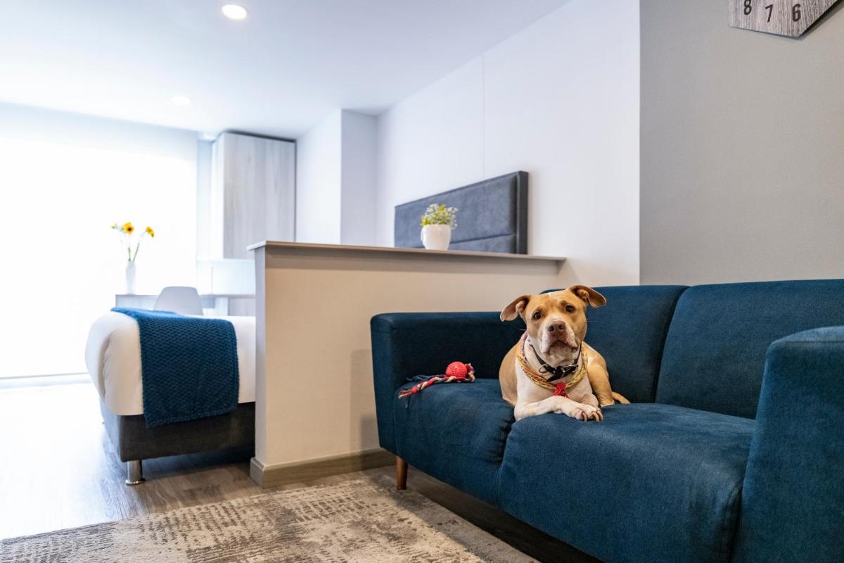 Torre Ventto Lofts - Housity