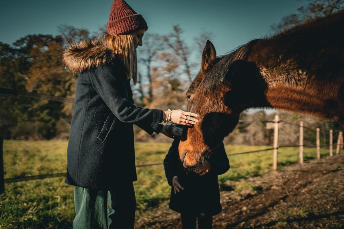 Animaux dans l'hôtel ou à proximité