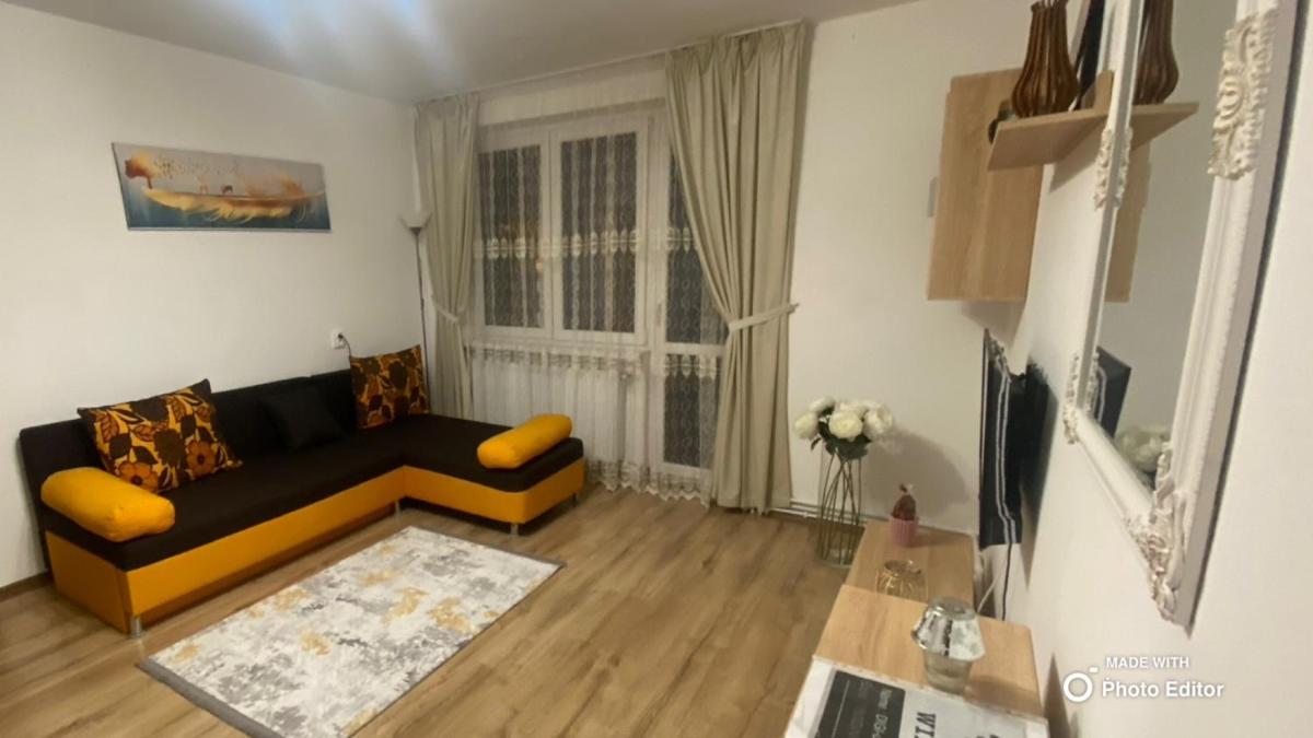 Apartament Dinu Toplita - Housity