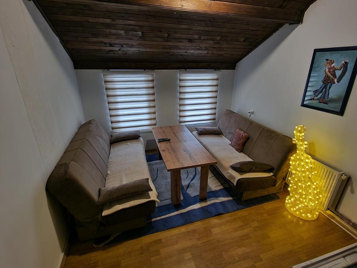 Winter Forest Vlasic - Housity