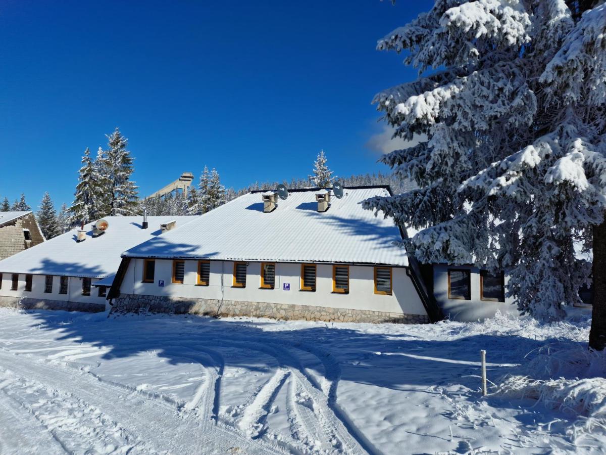 Winter Forest Vlasic - Housity