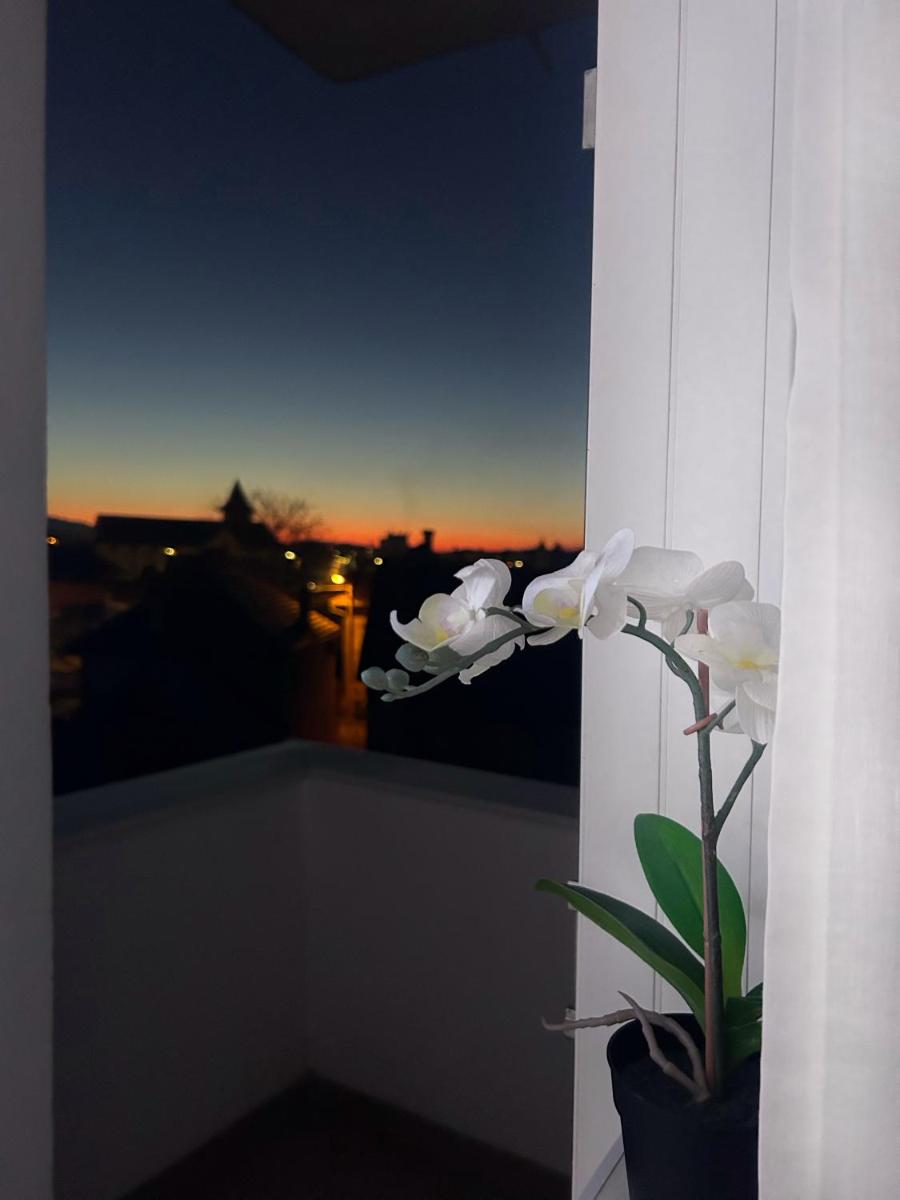 Davcom Studio - Housity