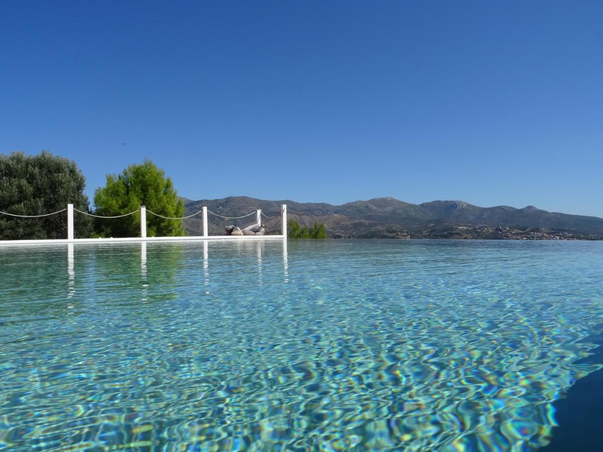 MELILOFOS SUITE GROUND FLOOR POOLSIDE - Housity