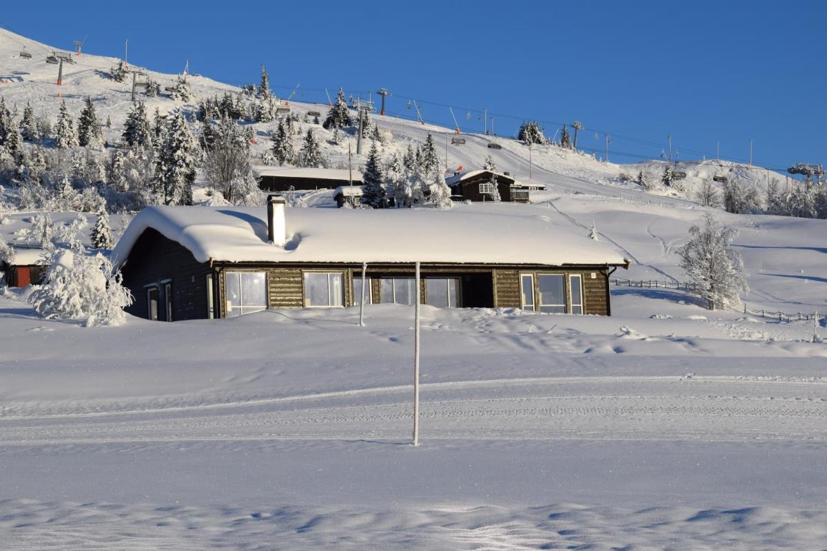 Skeikampen Booking - Housity