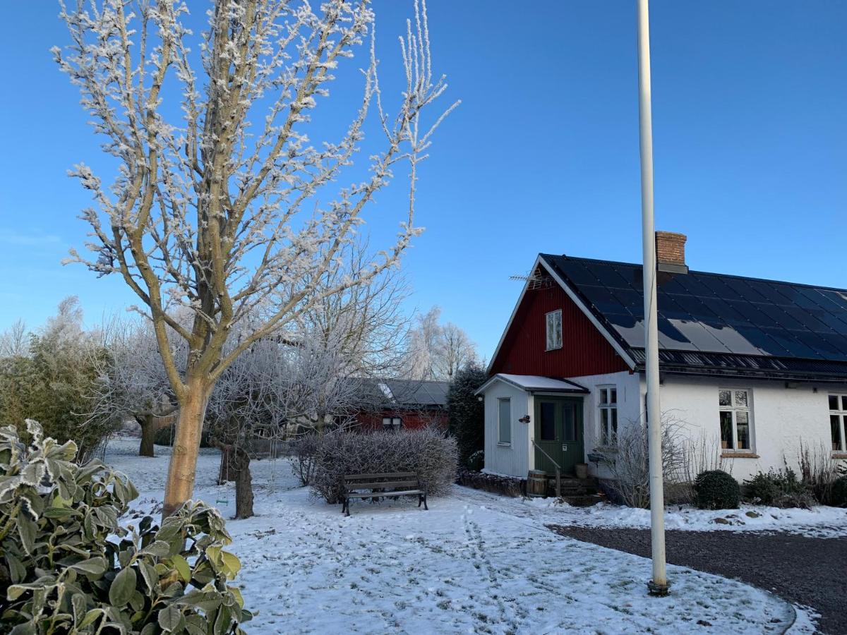 Villa Maria Garden Cottages, Helsingborg - Housity