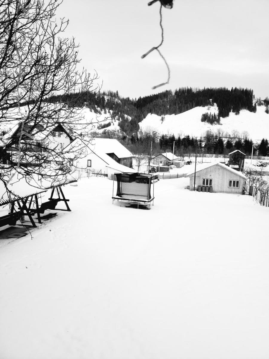 Casa ta din Bucovina - Housity