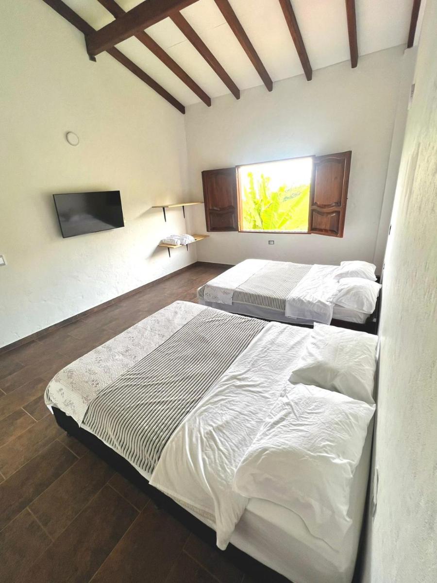 Orquideas 3 - Housity