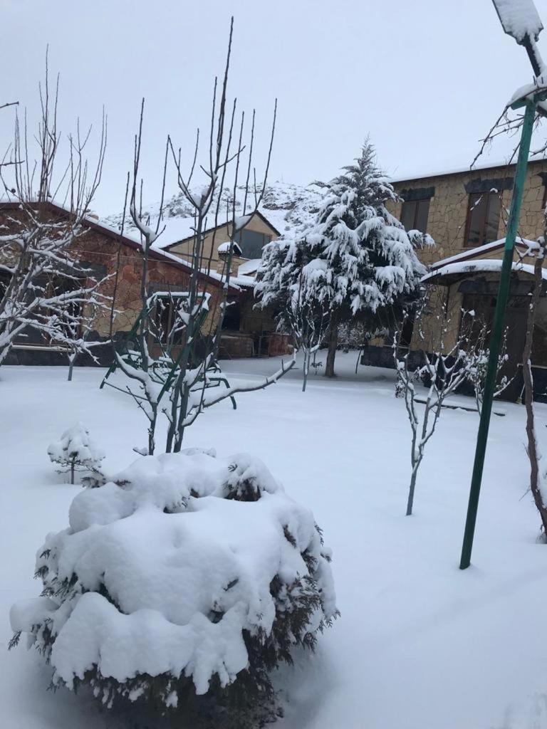 Green Garden Guest House - Housity