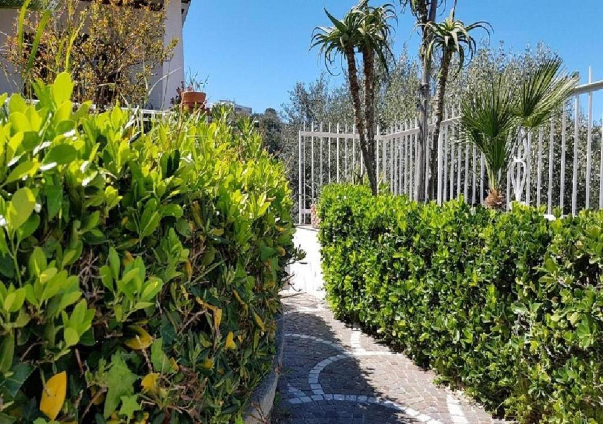 Holiday Apartments - Housity