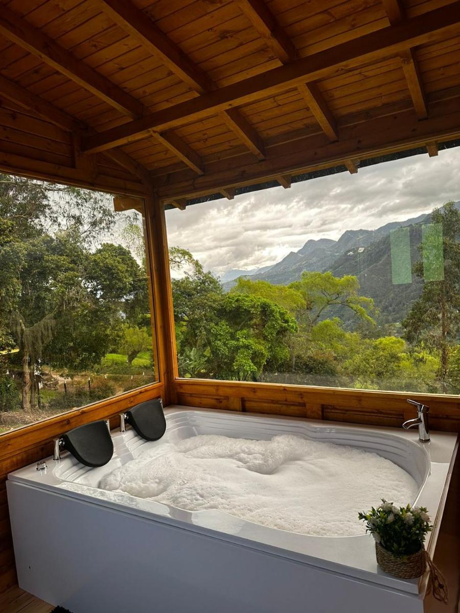 Glamping Shalom - Housity