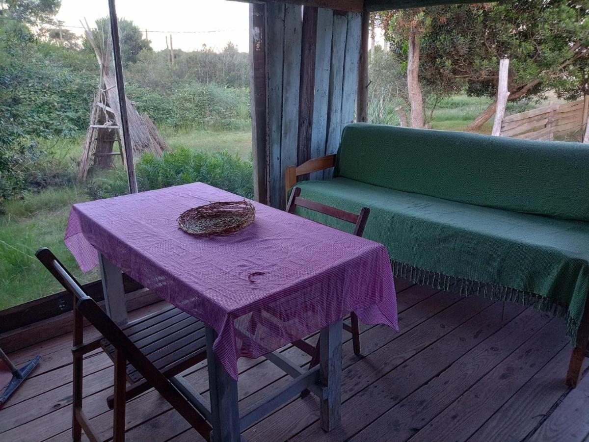 Cabaña rustica típica - Housity