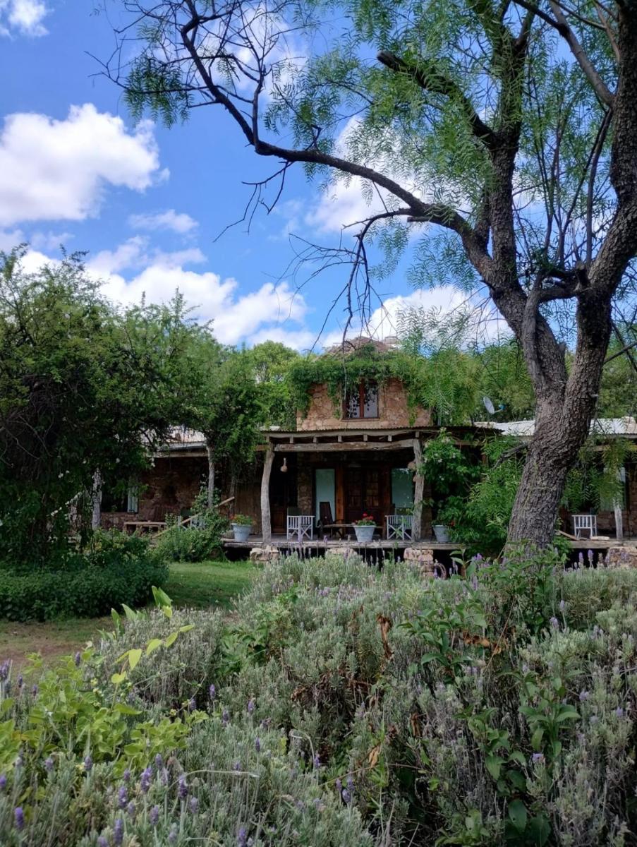 LAS JARILLAS Hostería & Bodega - Housity