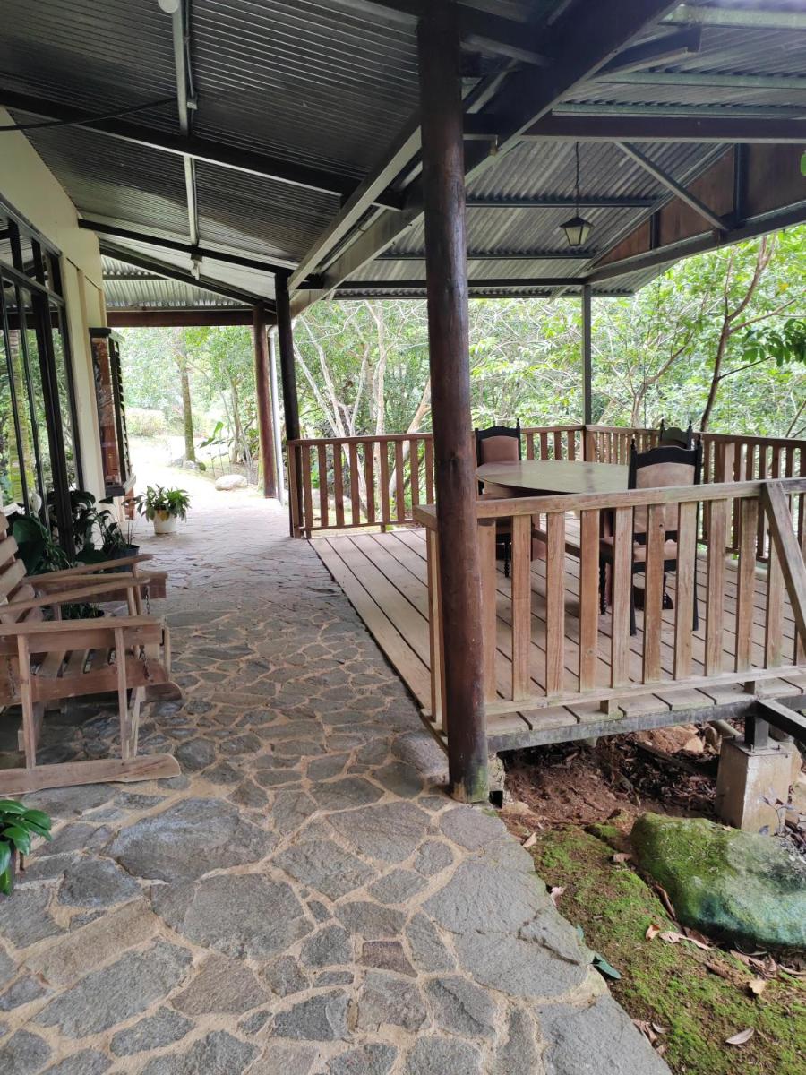 Natural paradise - Housity