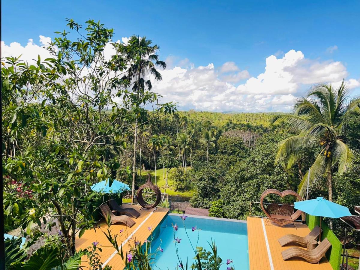 Jinjer Resort - Housity