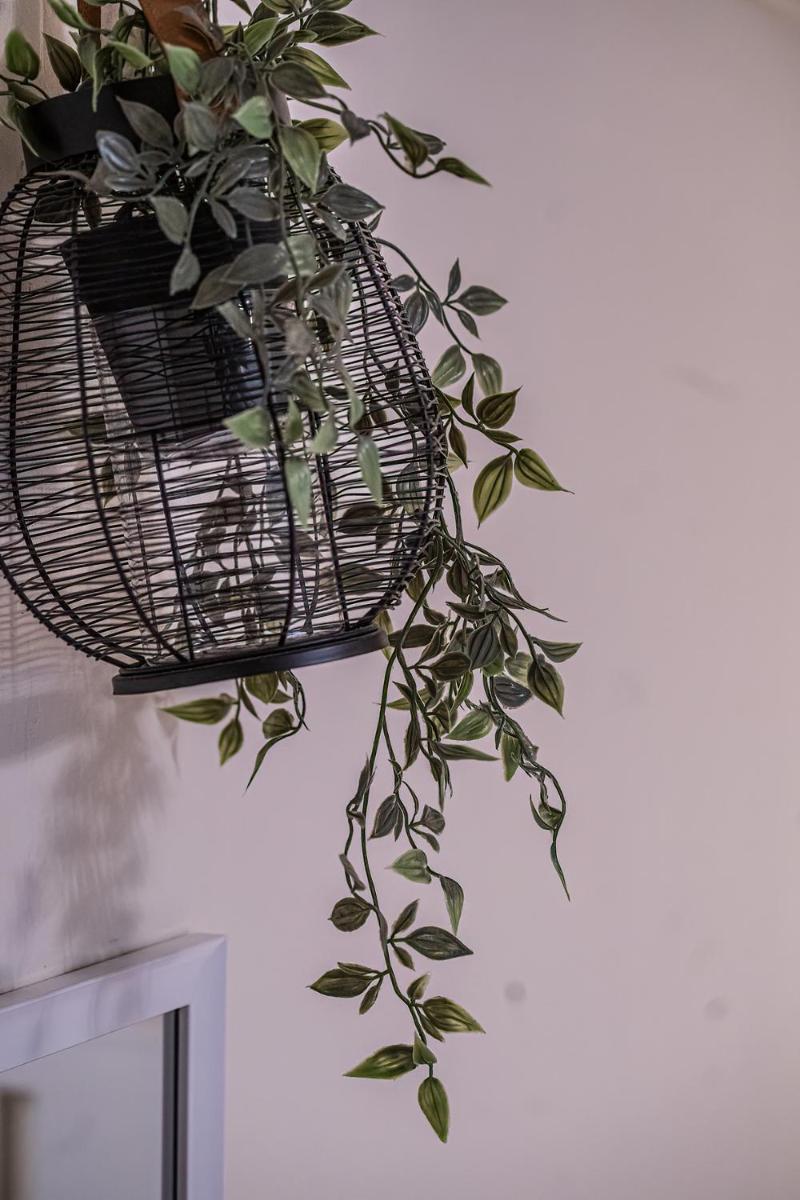 Gogol Apartment - Housity