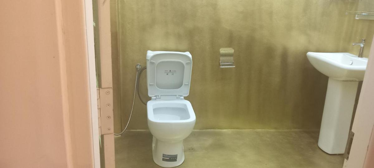 Forest Cyniciam Homestay - Housity