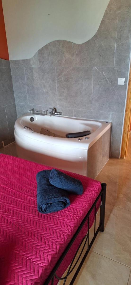 Olga's Apartments - Housity