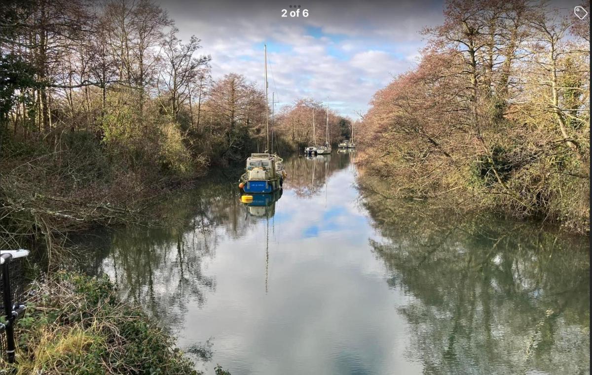 Pomegranate - Housity