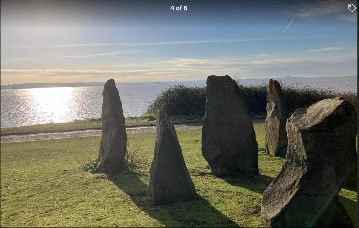 Pomegranate - Housity