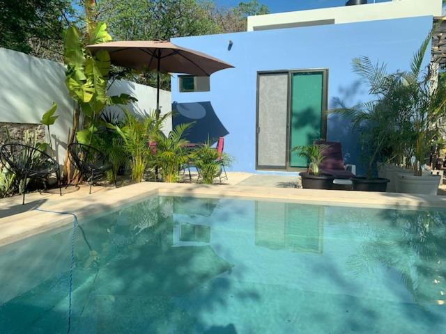 Estudio en “casa Livia” con piscina y jardín. - Housity
