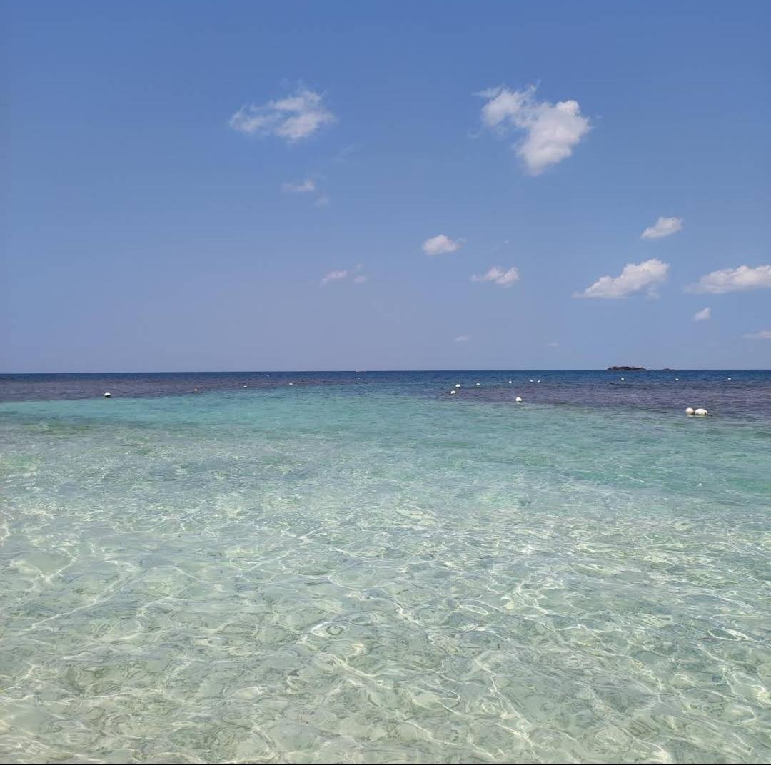 Hostel Lali beach villa - Housity