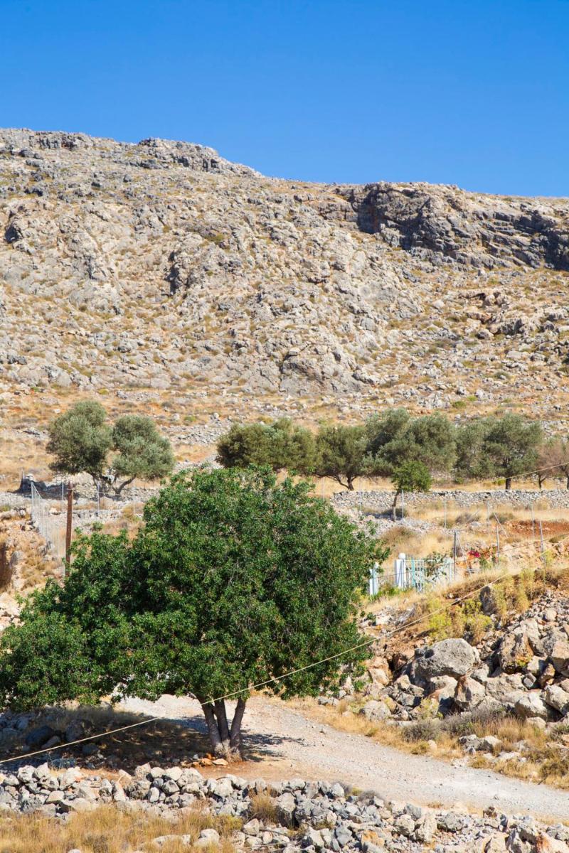 Lindos Portes Suites - Adults Only - Housity