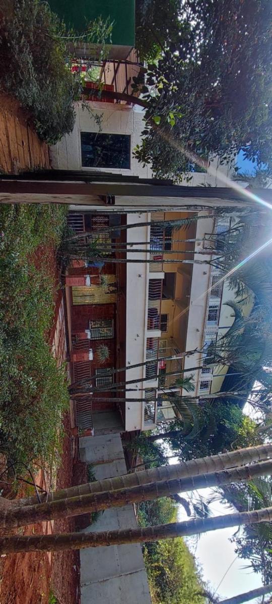 The Forest World - Housity