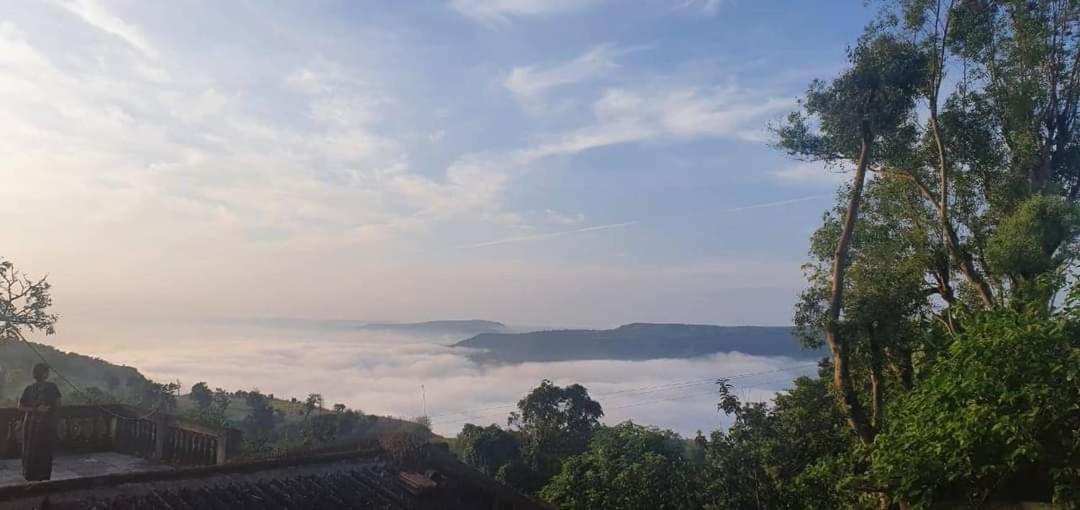 The Forest World - Housity