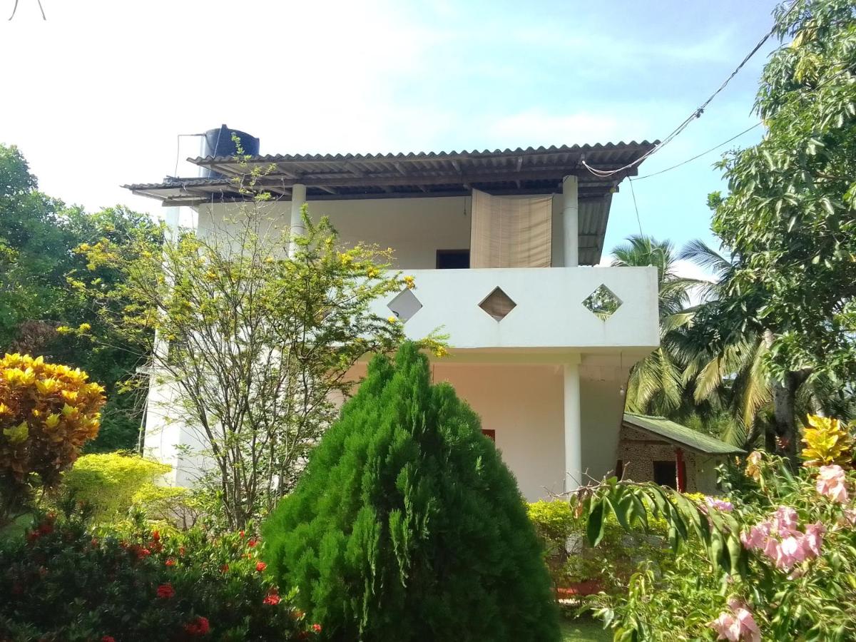 Peacock Family Stay - Housity