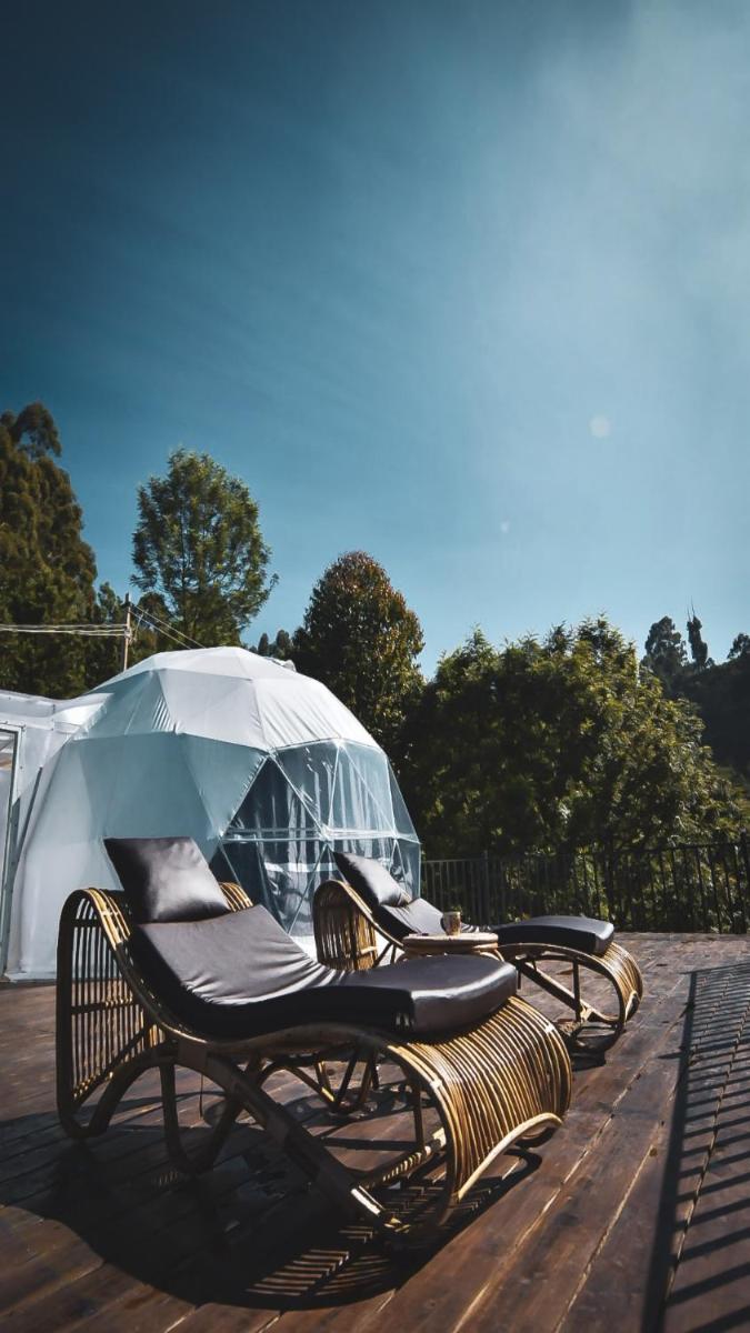 Divercity Luxury Glamp - Housity