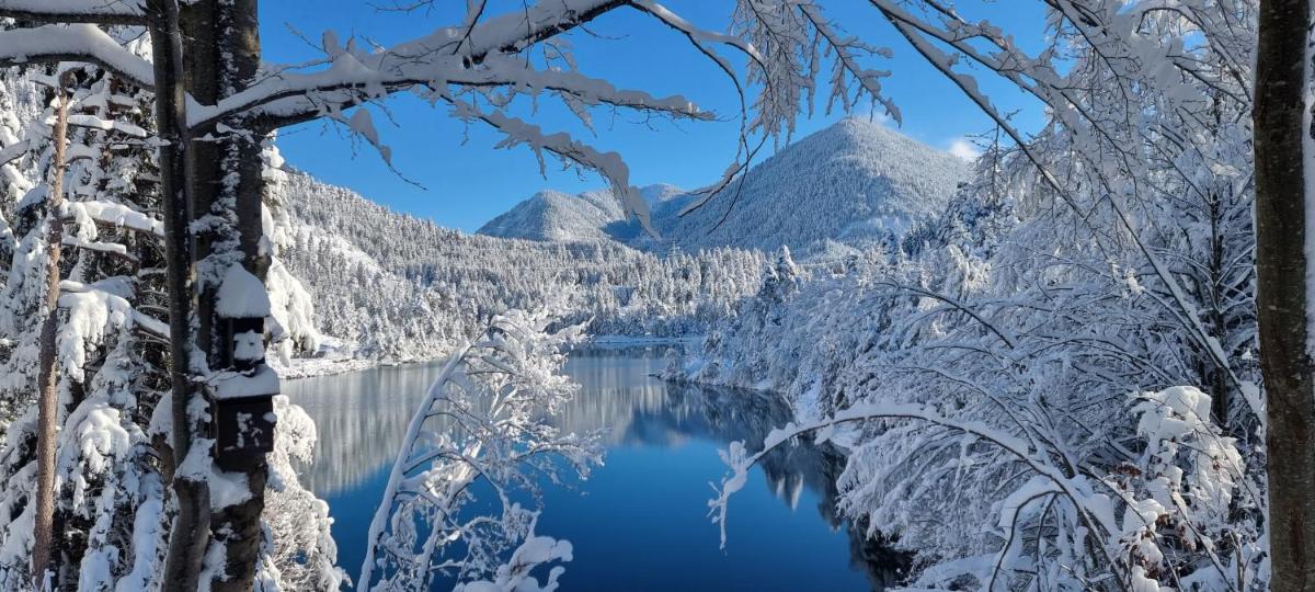 Apartements Breitenwang - Housity