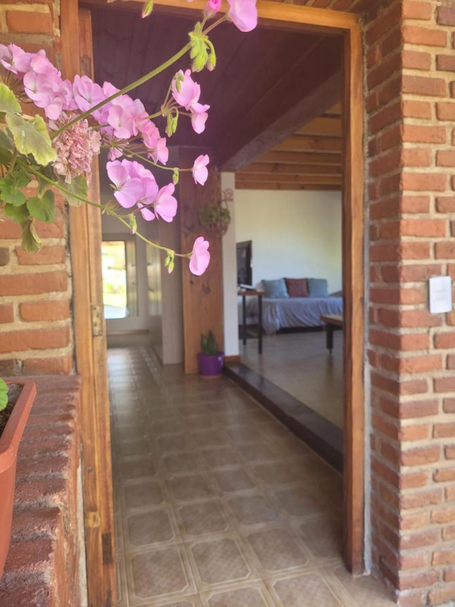 Los Maitenes - Housity