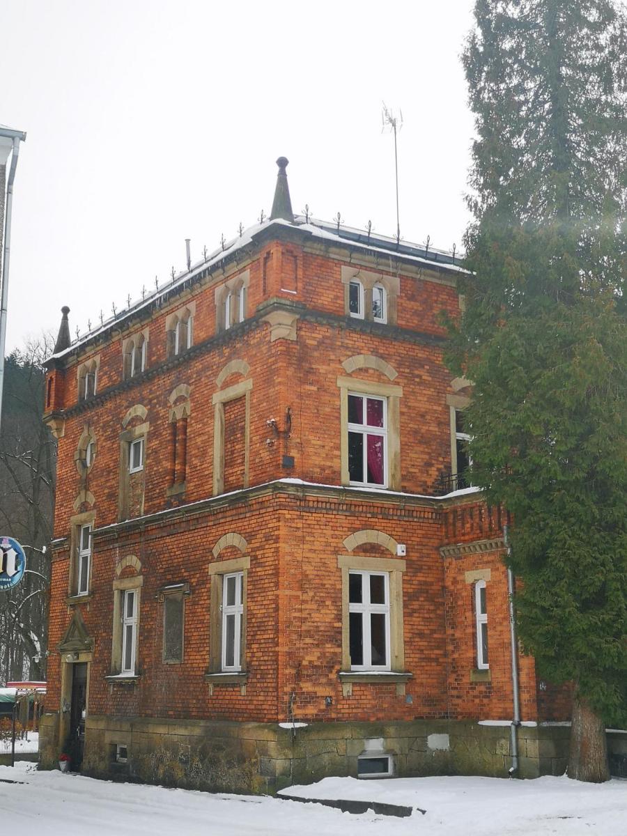 Kot Pocztowy - Housity