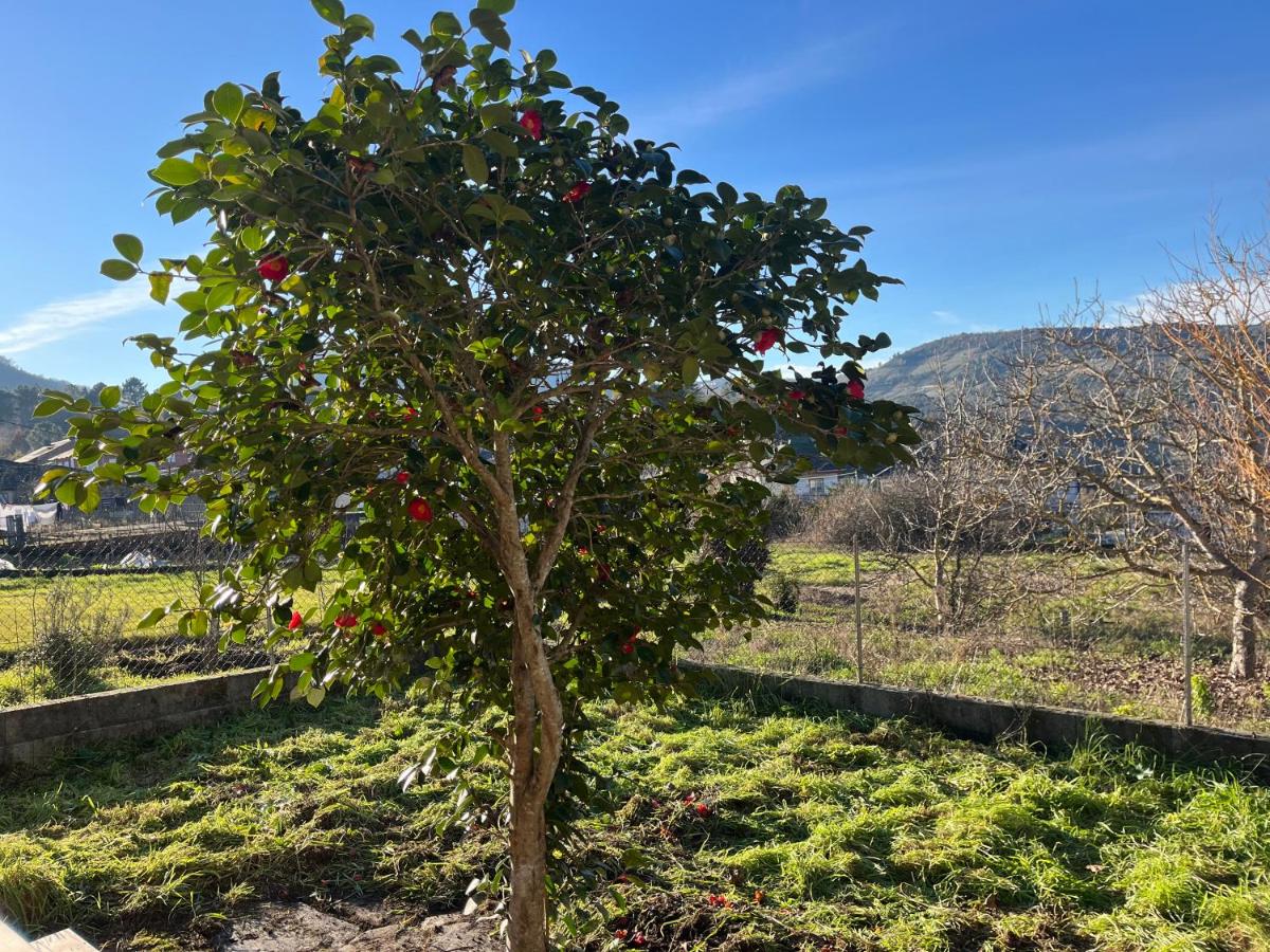 Casa Catalina - Ribeira Sacra - Housity