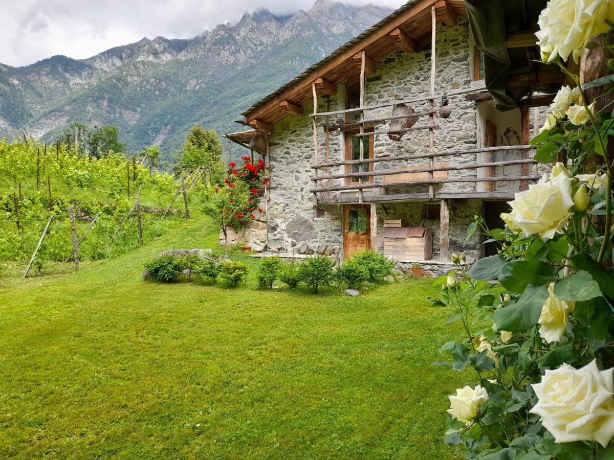 Agriturismo TorreScilano - Housity