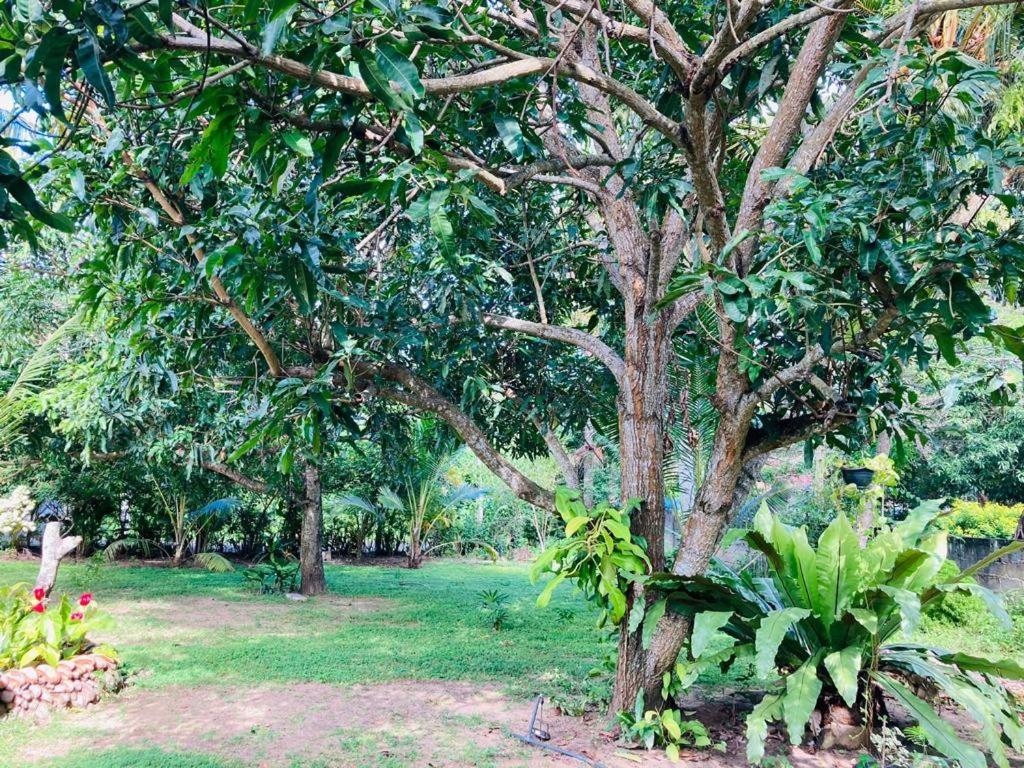 Glorious Villa - Housity