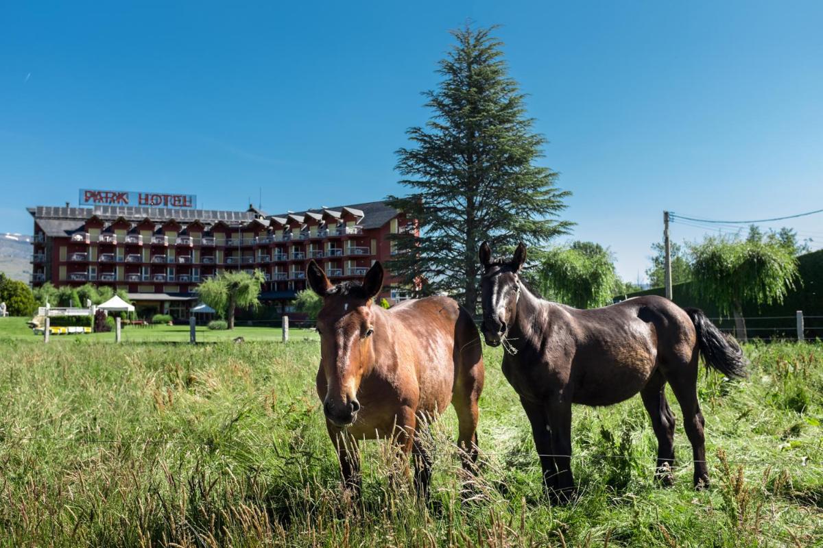 Animales en el hotel o alrededores