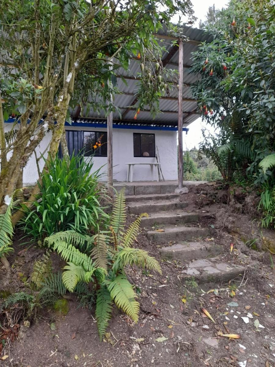 Acogedora cabaña entre las montañas de La Calera- Colombia - Housity