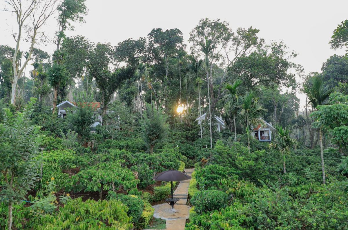 Dhanagiri Homestay Wayanad - Housity